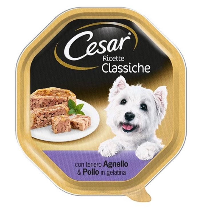 CESAR RECIPES CLASS AGNEL/POLL