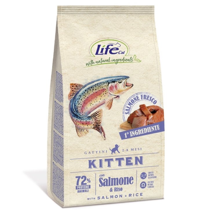 Natural Ingredients Kitten with Salmon -