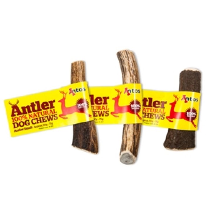 Deer Antler Antler 100% Natural - M