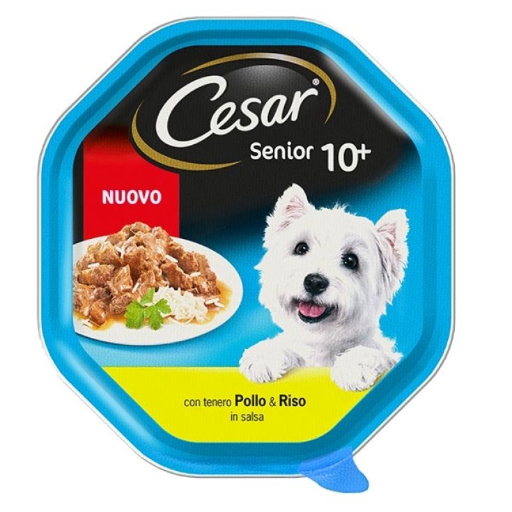 CESAR SENIOR 10+ CHICKEN/RICE SA