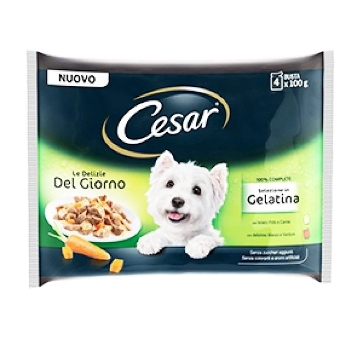 CESAR DELIZIE GG GEL SELECTION