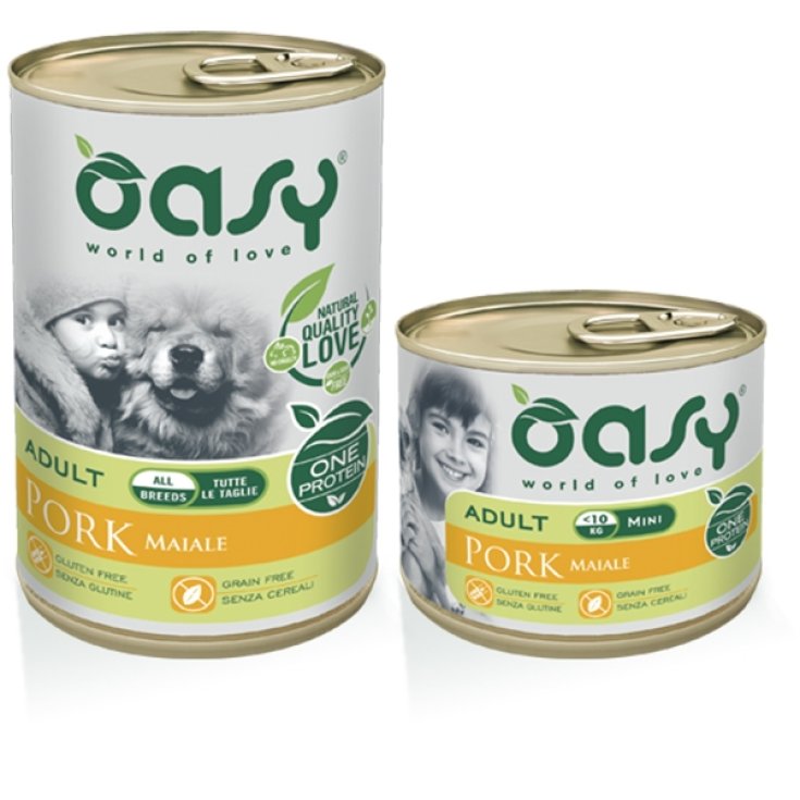 OASY WET DOG ONE AD MINI PIG