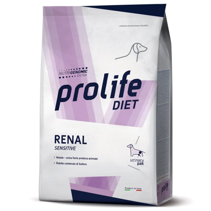 PROLIFE DOG DIET RENAL 2KG