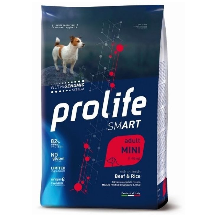 PROLIFE DOG SMART AD BEEF 600G