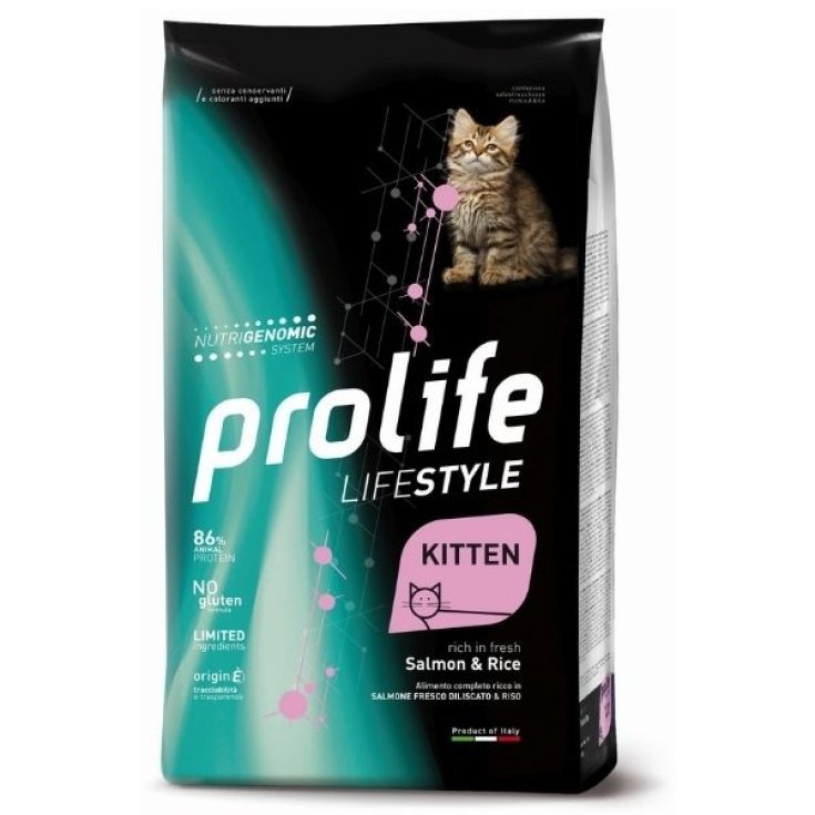 Life Style Kitten Salmon & Rice - 1,50KG