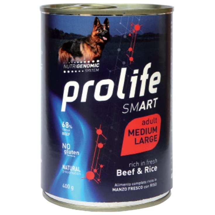 PROLIFE DOG SMART AD BEEF 800G