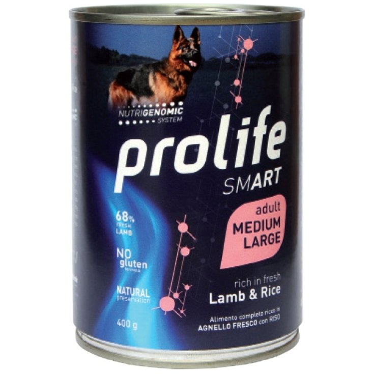 PROLIFE DOG SMART AD LAMB 800G