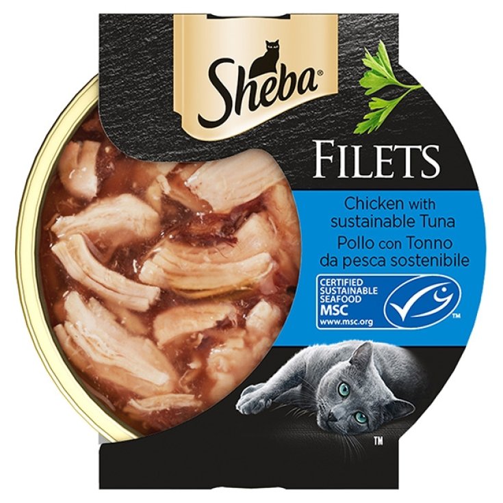 Chicken Filets with Sustainable Fishing Tuna