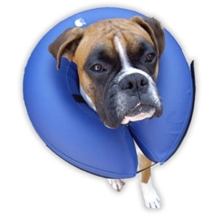 Procollar blue inflatable collar - Cuts