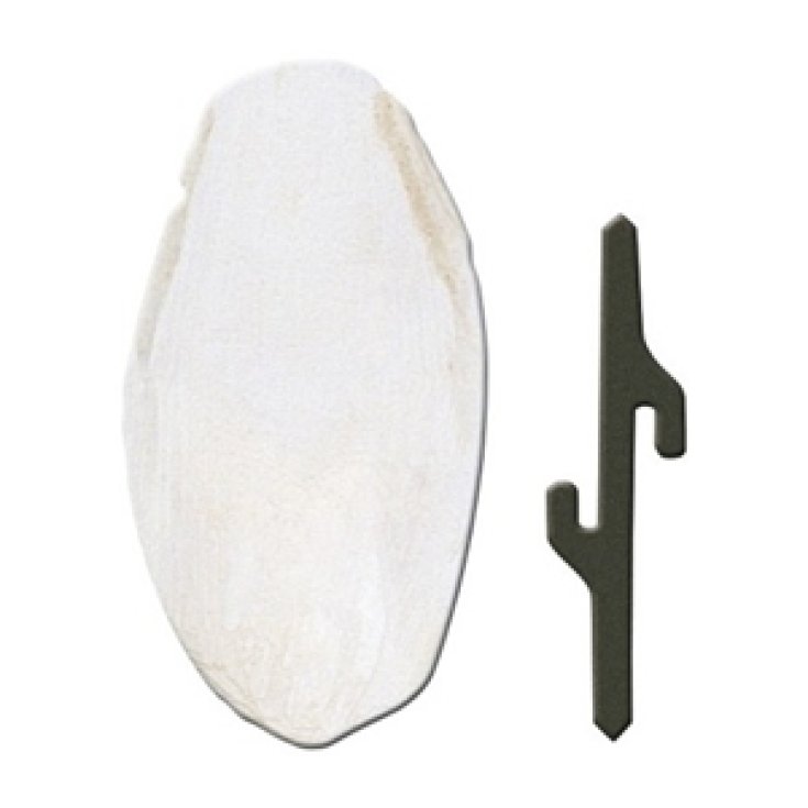 SMALL CUTTLEFISH BONE PA4330