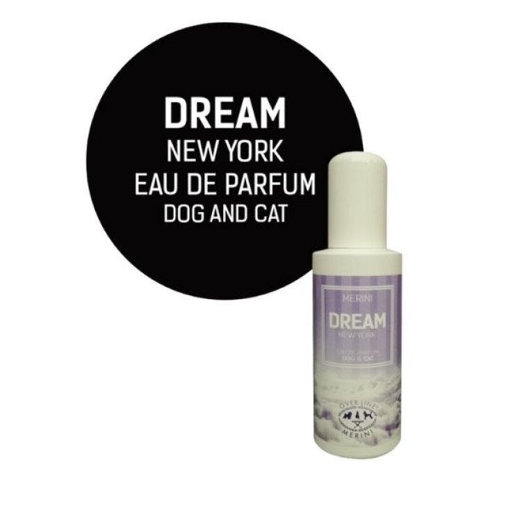 DREAM PERFUME 100 ML