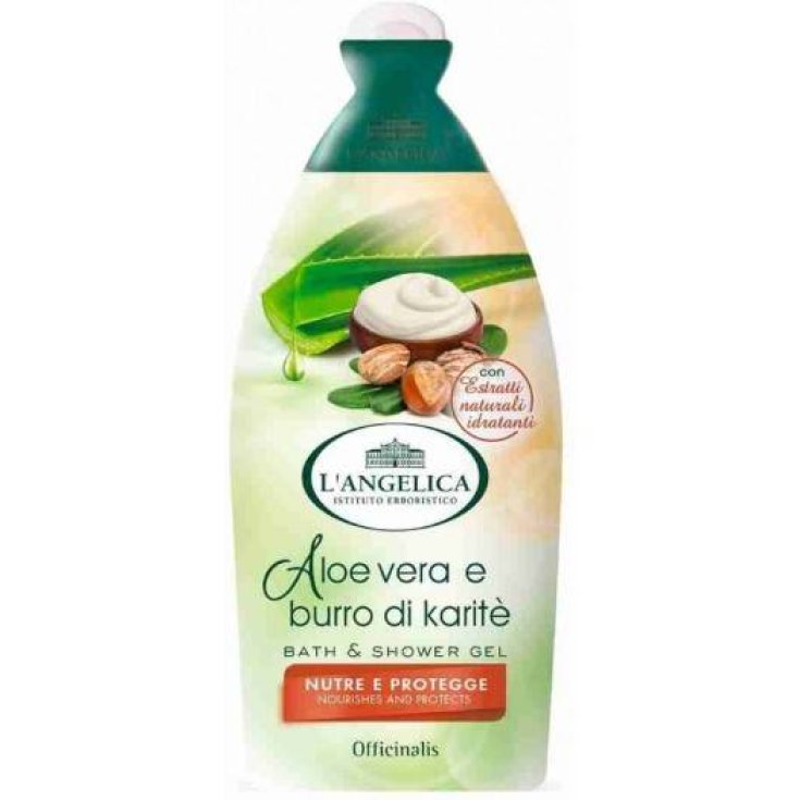 L ANGELICA B/SA/VERA AND KARITE 450