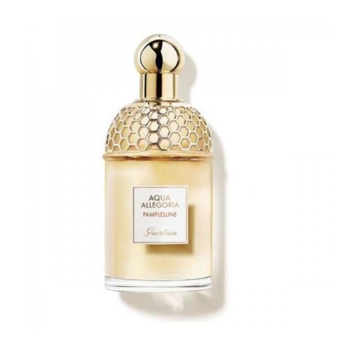 GUE AQUA ATTACH PAMPLEL EDT125