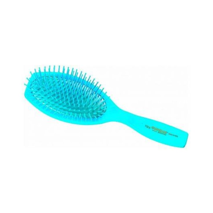 GUENZANI SPAZZOLA 113 PLASTCA SPILL