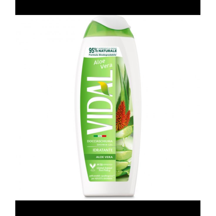 VIDAL NEW D/S ALOE VERA 250 ML