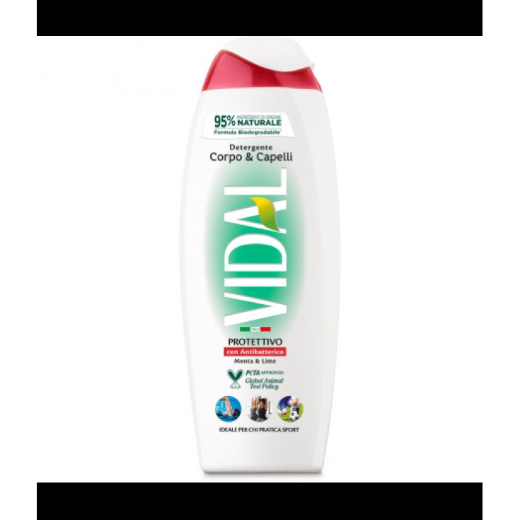 VIDAL NEW D/S ANTIBACTERIAL 250 ML