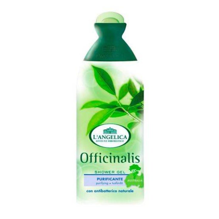 L ANGELICA D / S TEA TREE OIL 250 ML