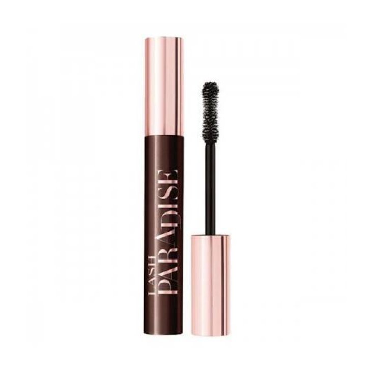 L'OREAL MASC LASH PARADISE BROW