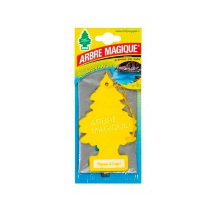 ARBRE MAGIQUE MEDITERRANEO