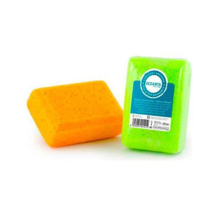 MARTINI OCEANIA SPONGE 121 BEVELLED