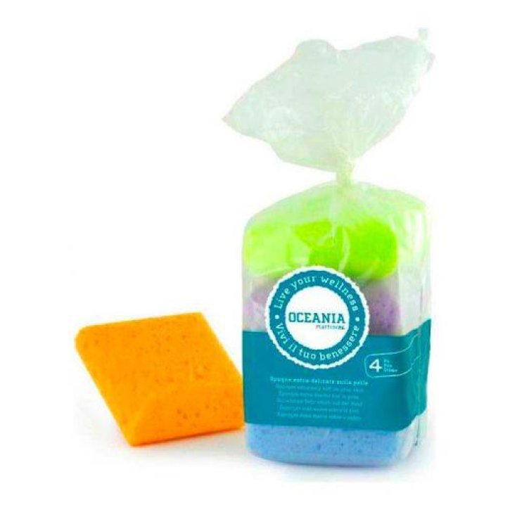 MARTINI COLOR SPONGE 499 SACCX4P
