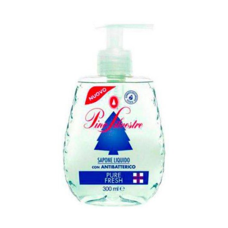 SILVESTER PINE SAP LIQ P / FRESH 300