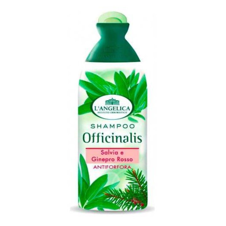 L ANGELICA SH A / DANDRUFF 250 ML