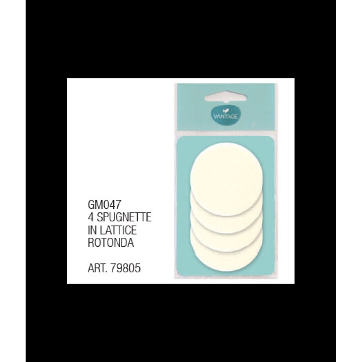 Latex Sponges GM047 VANTAGE 4 Pieces