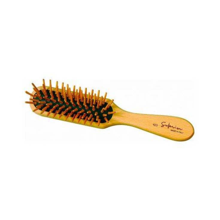 GUENZANI BRUSH 423 WOOD RECTAN