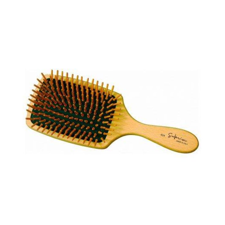 GUENZANI BRUSH 424 FLAT WOOD