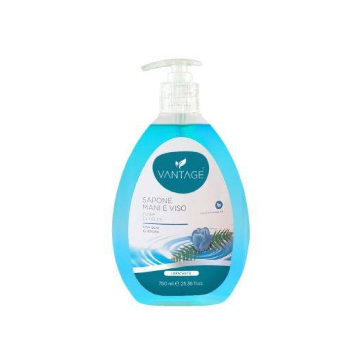 VANTAGE Fern Flowers Hand And Face Soap 750ml