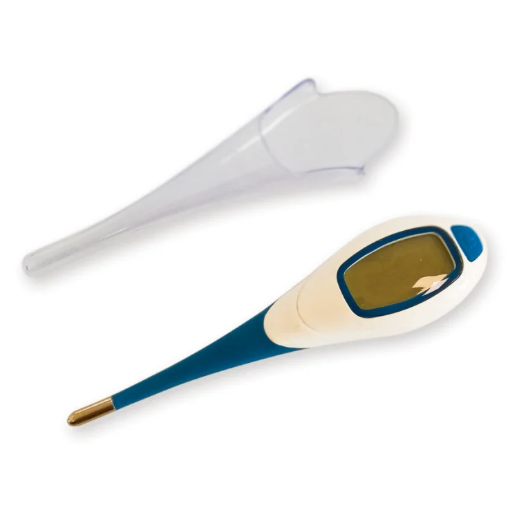 BL3 DIGITAL THERMOMETER