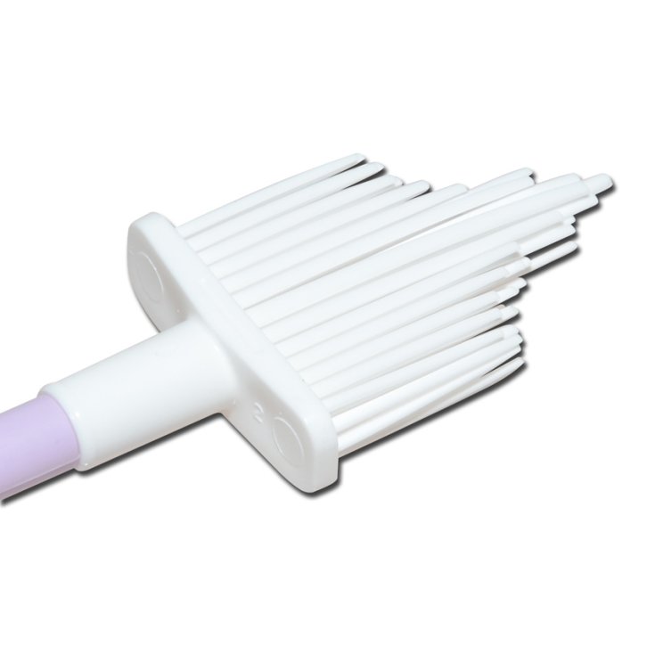 PAPETTE WALLACH PAPETTE WALLACH