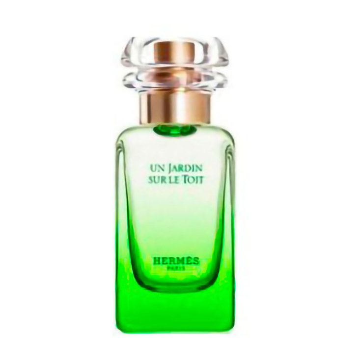 HERMES JARDIN SUR LE TOIT EDT 50 V