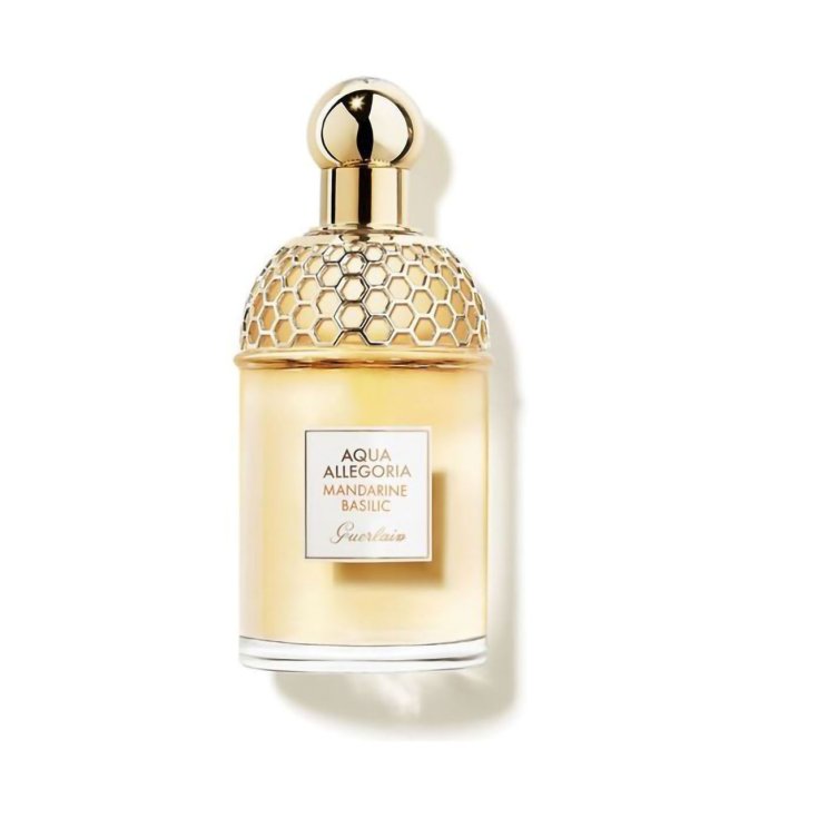 GUE AQUA ATTACH MANDAR EDT75V