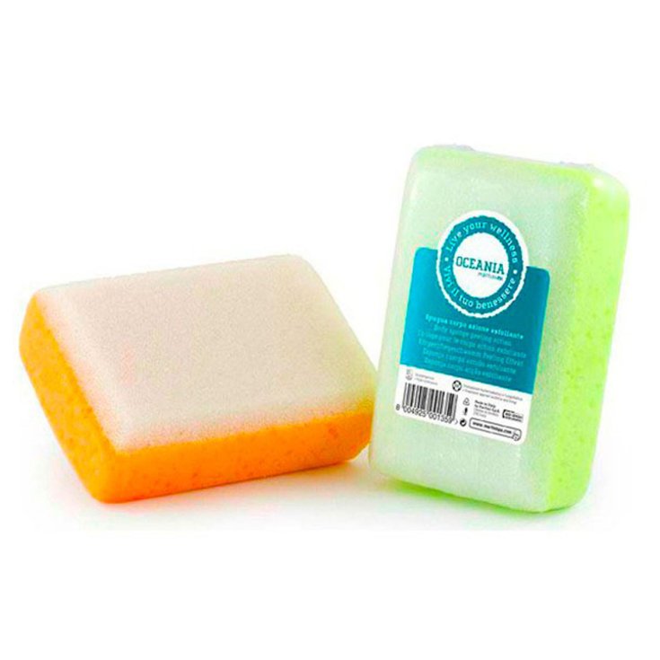 MARTINI COLOR SPONGE 135 EXFOLIA