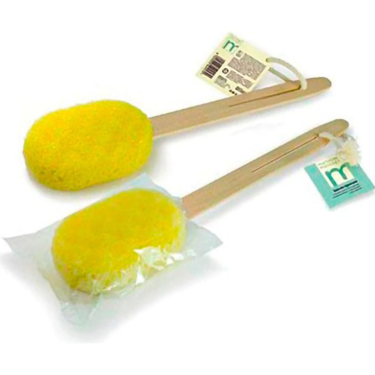 MARTINI BRUSH 457 BACKWASHER