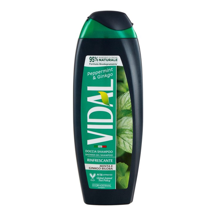 VIDAL DOCCIA NEW MINT&GIN250ML