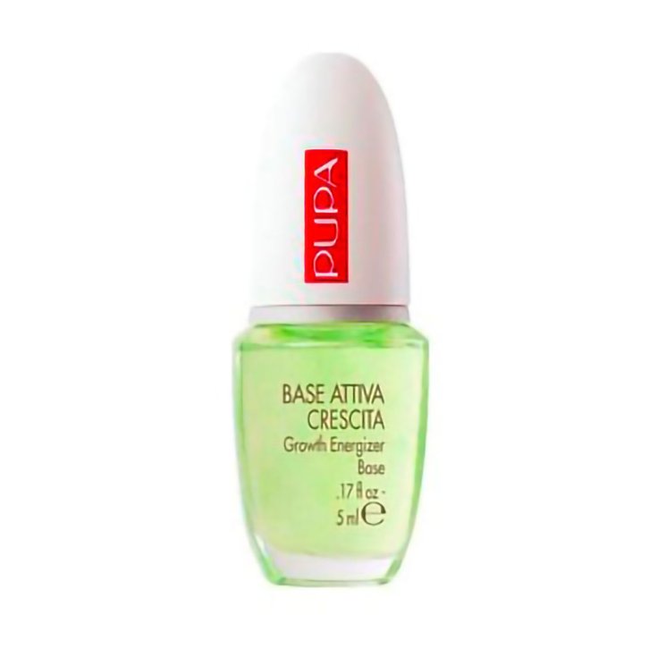 PUPA BASE ACTIVE GROWTH 801