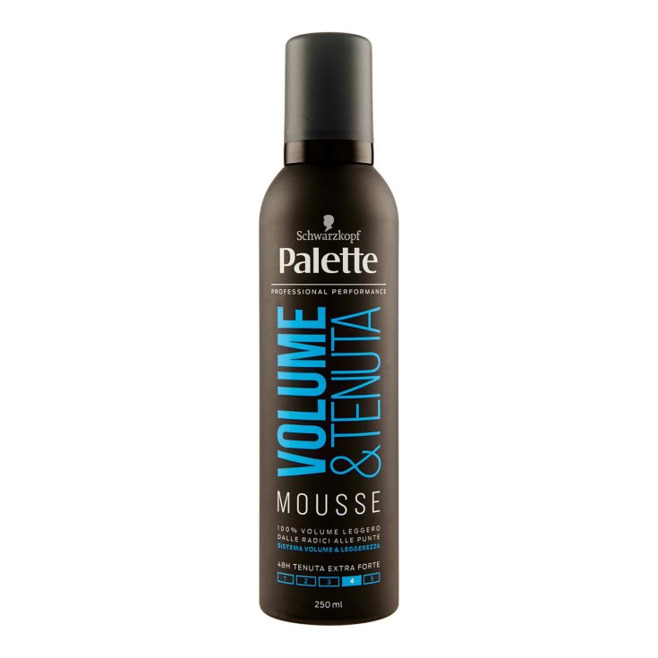 PALETTE MOUSSE HOLD VOLUME 250 ML