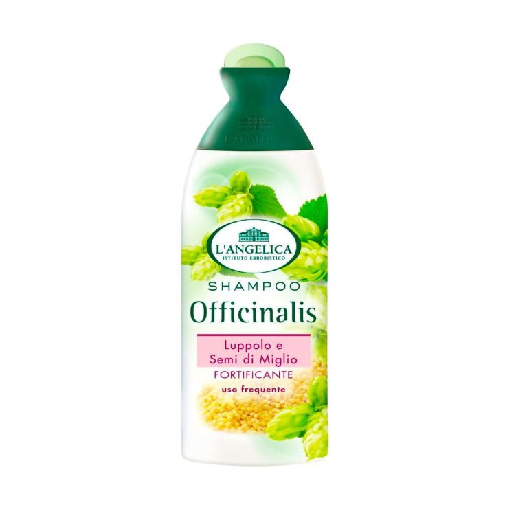L ANGELICA SH FREQUENT USE 250 ML
