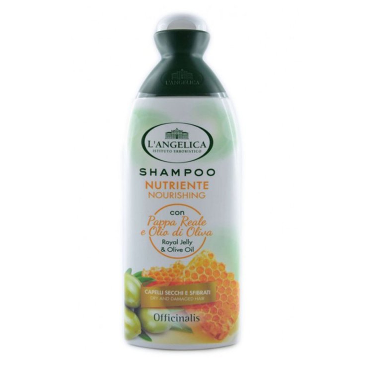 L ANGELICA SH NUTRIENTE 250 ML