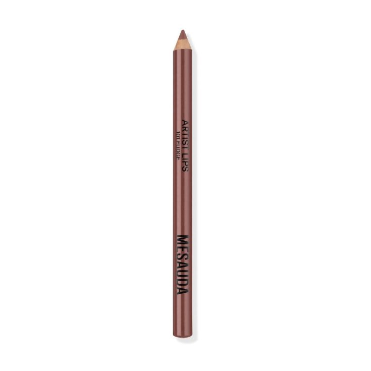 MESAUDA ARTIST LIPS 101