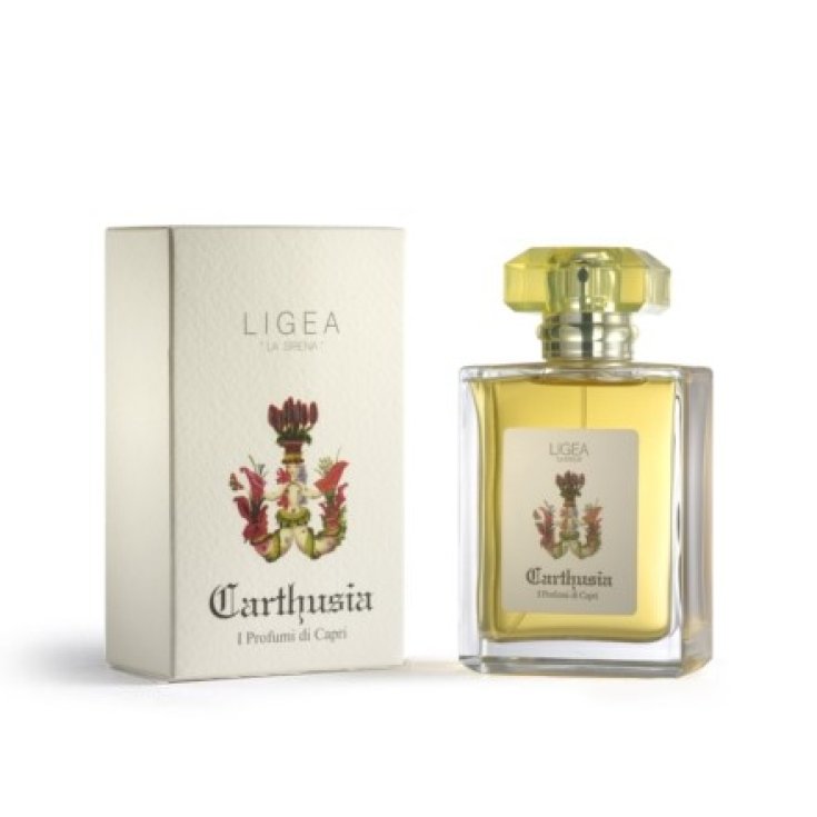 Ligea 50 Ml Spray