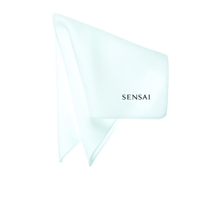 Kanebo Sensai Sponge Parts