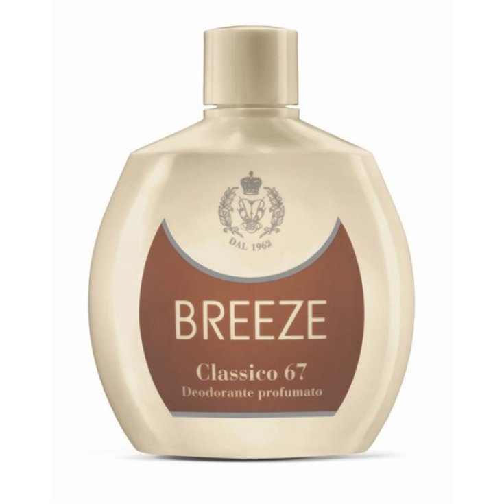 BREEZE Deo Creme Classic 67 – 100 Ml, Ohne Aluminium & Gas, 24h Frische