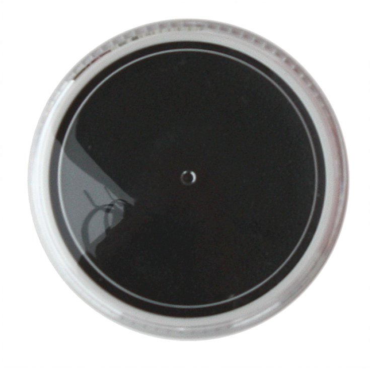 Mario Giussani Colors For Fan Greaseproof Paste 15 ml black