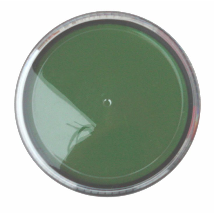 Mario Giussani Colors For Fan Greasepaint in Paste 15 ml green