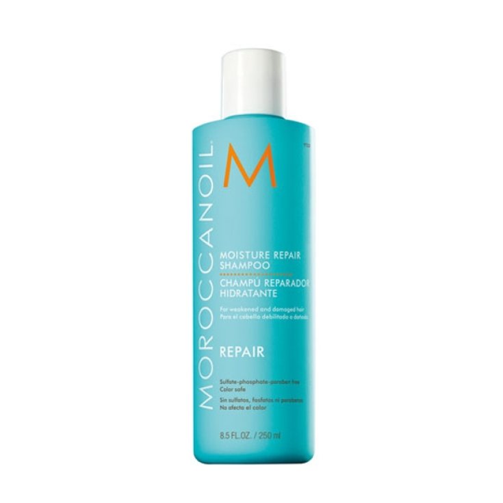 Repair Moisturizing Repair Shampoo 250ml