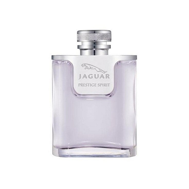Jaguar Prestige Spirit Eau De Toilette Spray 100ml